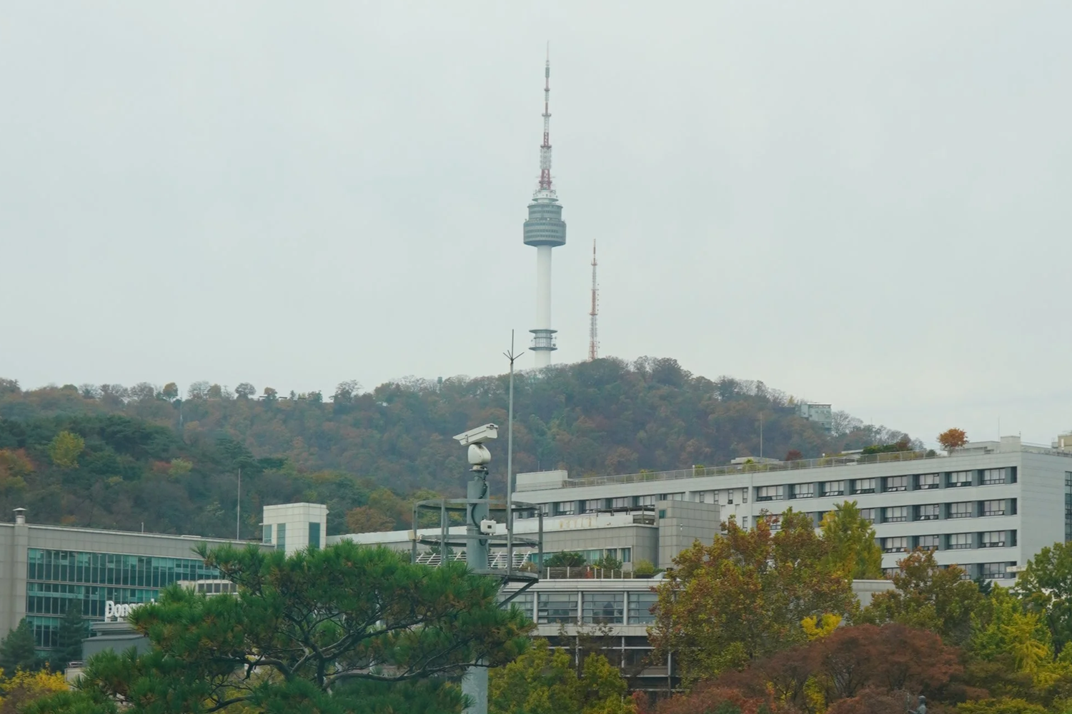 Cityscape with a hill featuring a tall broadcasting tower and trees with autumn foliage, modern buildings in the foreground, overcast sky.